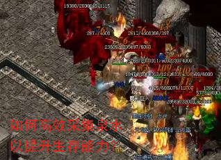 ��θ�Ч�ɼ�Ȫˮ����������������