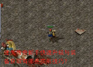 ��ʧ�������ֿ���������װ����ȡ����Щʵ�ü��ɣ�